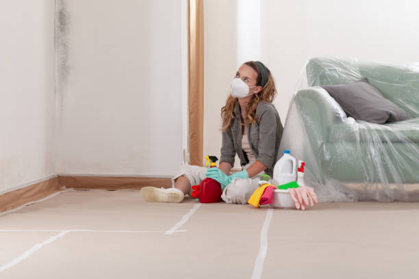 Reliable Mold Cleanup contractor in Salem, VA by WQB Mold Removal
